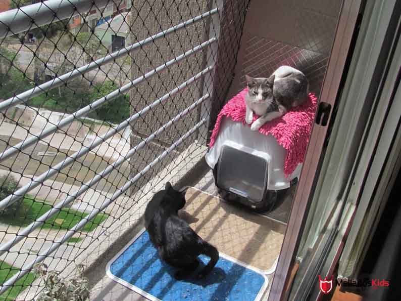 Subir Interpersonal audición Mallas para Mascotas - Mallas para gatos y perros